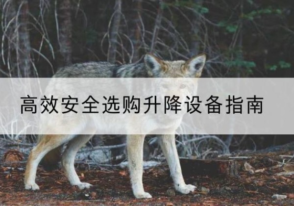 忠县升降货梯厂家推荐-*安全选购升降设备指南