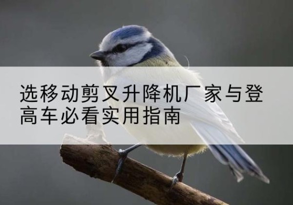 忠县电动升降机厂家-选移动剪叉升降机厂家与登高车必看实用指南