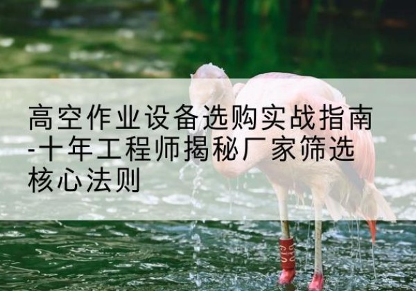 忠县剪叉式升降机厂家-高空作业设备选购实战指南-十年工程师揭秘厂家筛选核心法则
